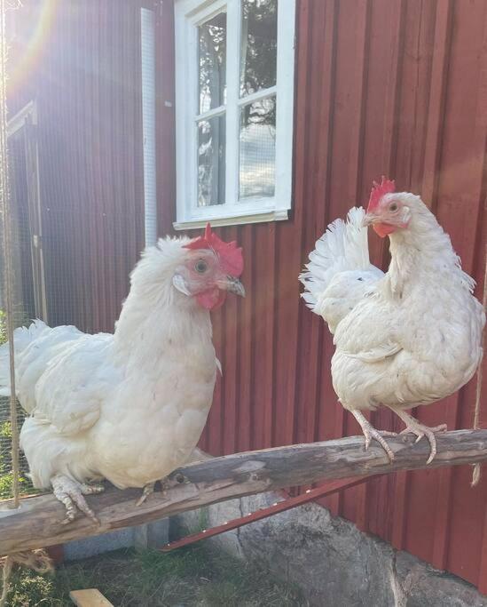 Gamla Ersgarden I Ersmark Umeå Buitenkant foto